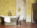 Cocos-WP-Main-Banner_med-copy-