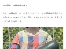 19ﱬũƽ˹鿥